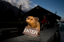 tetons_09_12_2005_0245